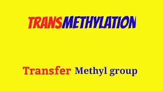 Transmethylation Transmethylation Reaction Transmethylation Mechanism TransmethylationAnimation [upl. by Miett]