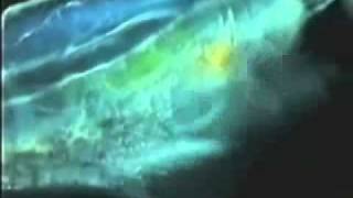 Explanation of marine Plasma production inside phytplankton blooms [upl. by Nomolas897]