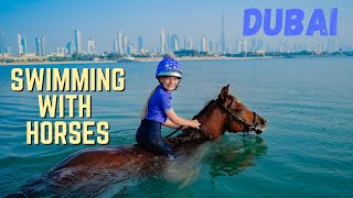 THIS WAS EPIC HORSE RIDING AND SWIMMING IN THE SEA ON AN ARABIAN HORSE IN DUBAI [upl. by Airet]