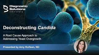 Deconstructing Candida  A Root Cause Approach to Addressing Yeast Overgrowth [upl. by Kirstin]