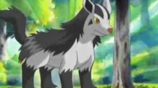 Houndoom Absol amp Mightyena AMV [upl. by Ayra768]