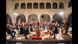 C SaintSaëns Il Carnevale degli Animali Il Cigno [upl. by Pallaton]