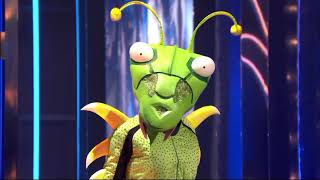 The Masked Singer Nederland Finale  De Bidsprinkhaan [upl. by Ikaz]