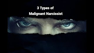 3 Types of Malignant Narcissist Grandiose Covert Borderline [upl. by Caterina]