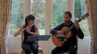 Canon in D by Pachelbel  Alba Duo [upl. by Sucerdor]