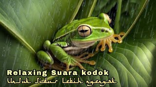 Suara Hujan Dan Katak Bernyanyi Relaxing Sound Of Rain And Frog Singing [upl. by Hterag445]