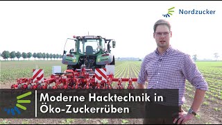 Moderne Hacktechnik in Öko Zuckerrüben [upl. by Meridel981]