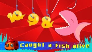 12345 Once I Caught A Fish Alive  Nursery Rhymes for kids  JellyBug [upl. by Radnaskela285]