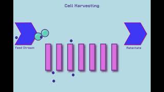 Introduction to Tangential Flow Filtration TFF [upl. by Enelad]