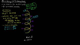 Protein Structure Part 2 of 4  Secondary Structure  Alpha Helix [upl. by Teerell]