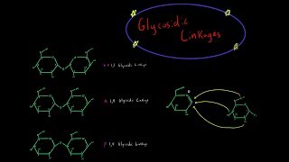 How Glycosidic Linkages are Formed Organic Chemistry Mechanism Carbohydrate Biochemistry MCAT [upl. by Elleyoj53]