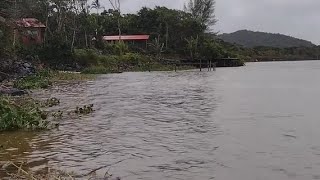 Hoje Fomos Pescar no Mar [upl. by Lowson]