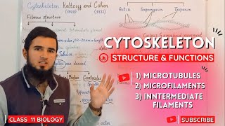 Cytoskeleton  Microtubules Microfilament amp Intermediate Filament  Their Structure amp Functions [upl. by Nirrok740]