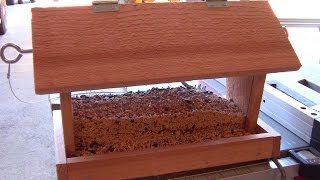 How to Build a Bird Feeder  Small DIY woodworking project [upl. by Ellenar356]