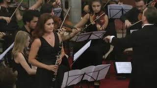 Donizetti Clarinet Concertino [upl. by Pedaiah]