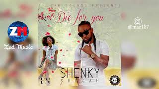 Shenky Shugah – Die For You Audio  Zambian Music 2019 [upl. by Agnimod751]