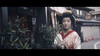 Maiko Japanese Traditional Costume  Blackmagic Pocket Cinema Camera 4K Footage [upl. by Theone660]