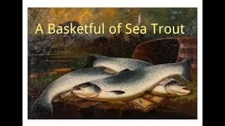 A Basketful of SeaTrout Part Three by Sheikh Gulzar Ahmad [upl. by Nizam]