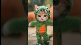 aalucomedy animatedcomedy comedy funnyaalu cat dance comedycartoon jokes aloocomedy aalu [upl. by Goddart]