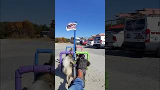 Getting on the Junction and Breakwater Trail in Delaware WooFDriverOnTour [upl. by Ecirtram846]