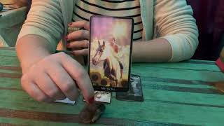 Career Reading  What Is Next For You  Tarot [upl. by Tonye319]