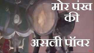 मोर पंख की असली पॉवर  Chamatkari Mor Pankh Ki Asli Power [upl. by Innob]