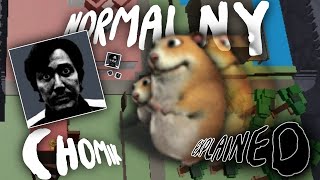 Normalny Chomik Explained [upl. by Smitt]