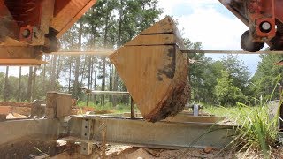 Quarter Sawing Oak the PROPER way [upl. by Plume]