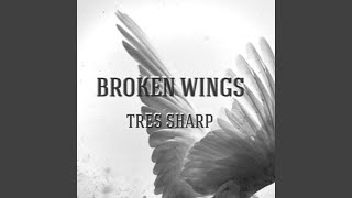 Broken Wings [upl. by Judah]