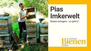 Pias Imkerwelt Waben einlagern – so geht’s [upl. by Feld885]