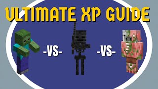 Ultimate XP Guide  CubeCraft Skyblock [upl. by Raamaj]