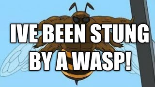 IVE BEEN STUNG BY A WASP  remix [upl. by Anilocin]