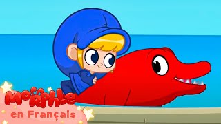 Morphle en Français  Aventures de dauphins dans l’océan pour enfants  Dessins Animés Pour Enfants [upl. by Enalahs]