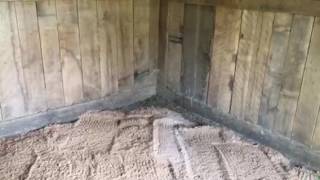 Getting urine to drain out of a horse stall [upl. by Dalton847]