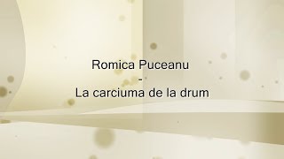 Romica Puceanu  La carciuma de la drum versuri lyrics karaoke [upl. by Nilved]