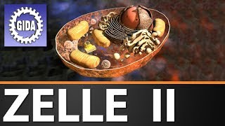 Trailer  Zelle II  Biologie  Schulfilm [upl. by Sayer]