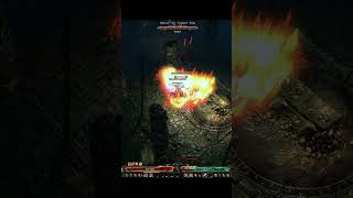 Grim Dawn Unstoppable Fire Tank Build🔥shorts grimdawn [upl. by Rosmunda]