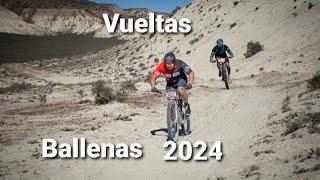 vuelta ballenas 2024 [upl. by Miarfe574]