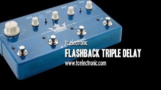 tc electronic FLASHBACK TRIPLE DELAY  Demo [upl. by Drageruaeb]