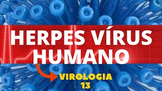 HERPES VÍRUS HUMANO  VIROLOGIA  AULA 13 [upl. by Leyes73]