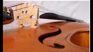 ♪♫ Contemporary violin Walter E Sandner workshop バイオリン скрипка 小提琴 303 [upl. by Gareth]