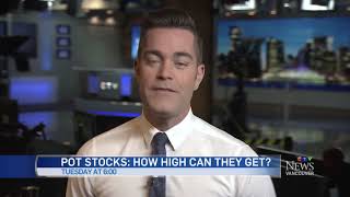 POT STOCKS WHATS THE RISK [upl. by Eivod]