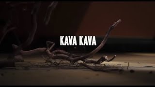 Uses and Benefits of Kava Kava  Sprouts Farmers Market [upl. by Lamhaj]