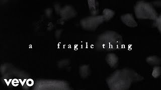 The Cure  A Fragile Thing Official Lyric Video [upl. by Neiviv]