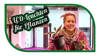 Jungpflanzenanzucht mit Pflanzenlampen  Pflanzenbeleuchtung im Praxistest 💡 LED Tipps und Tricks [upl. by Rudman]