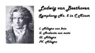 Ludwig van Beethoven  Full Symphony No 5 in 432 Hz tuning [upl. by Brink]