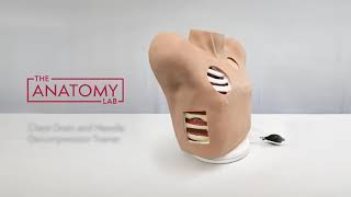 Product Spotlight The Anatomy Lab Chest Drain and Needle Decompression Trainer [upl. by Muhcon396]