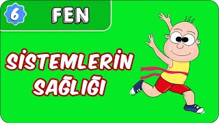 Sistemlerin Sağlığı  6 Sınıf Fen evokul Kampı [upl. by Nawiat]