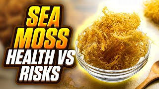 Sea Moss Benefits and Side Effects What You Need to Know [upl. by Ahsemo515]