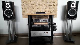 Sonus Faber Sonetto II [upl. by Fleck]